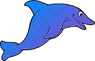 dolphin