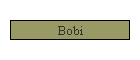 Bobi