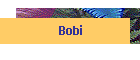 Bobi