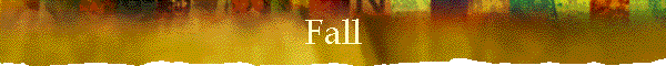 Fall