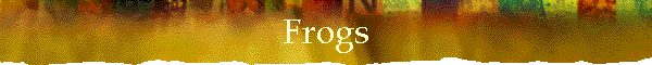 Frogs