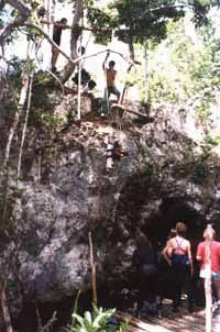 Cenote Pic #2