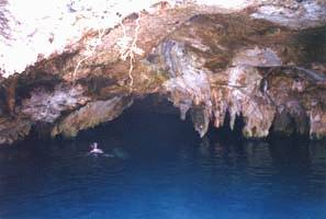 Cenote Pic #4