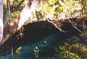 Cenote Pic #7