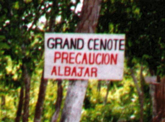 Cenote Entrance Pic