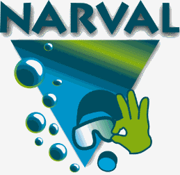 Logo Narval