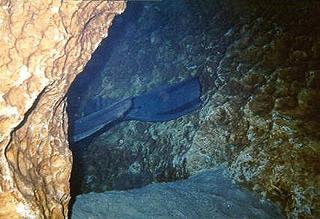 Harper Tunnel at Little River catacombs