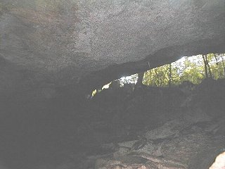 Bear's Den Cenote of Aktun Koh System