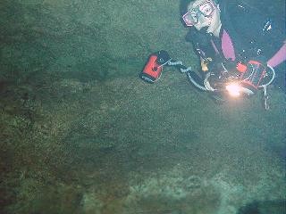 Jan above the halocline in Vaca Ha