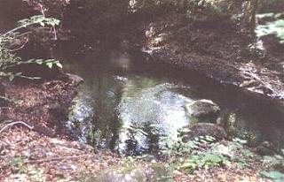 Cathedral Canyon Sink