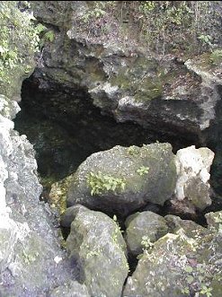 Edwards Spring