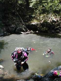 Thunder Hole divers