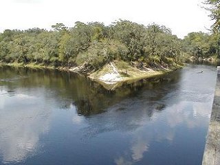 Fork of Suwannacoochee River and Suwannee River