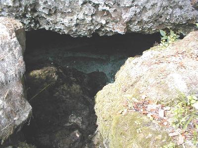 Bathtub spring