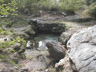 Bathtub spring