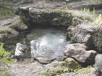 Bathtub spring