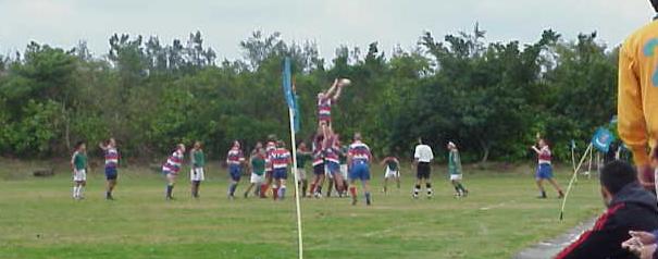 /user/Lineout.jpg