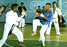 karate1.jpg (14381 bytes)