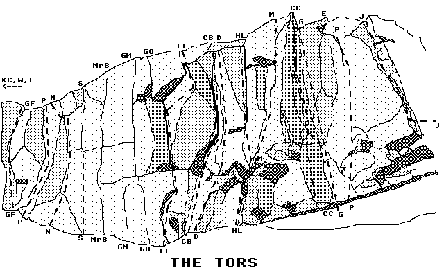 tors left end topo