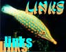 Links