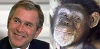 Geo. Bush & Friend