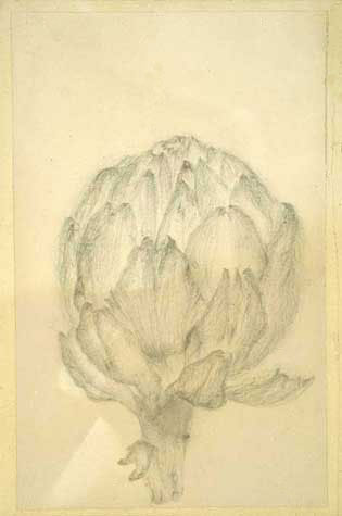 artichoke