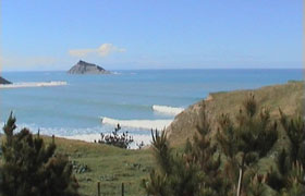 Cray Bay NZ