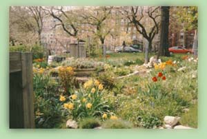 photograph of Victory flower Garden