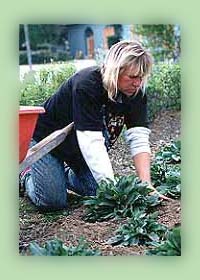 photo of person with crops