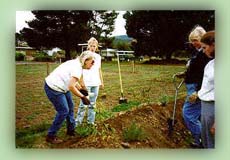 photo of people digging