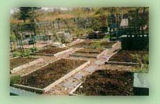 photograph of Victory produce Garden