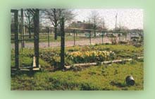 photo of a Strater Garden