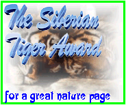 This page has won The Siberian Tiger Award for great nature page