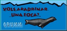 QUIERES APADRINAR A UNA FOCA MONJE?