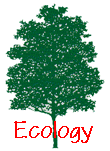 Ecology