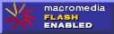 Instalar Macromedia Flash Player