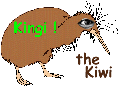 Kingi The Kiwi 