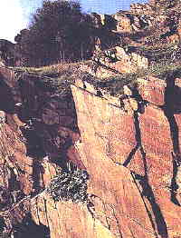 Rock Panel at Ribeira dos Piscos