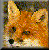 Red Fox -- Vulpes vulpes