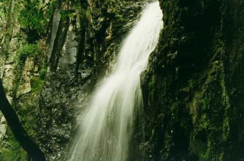 cascada1.jpg (22667 bytes)