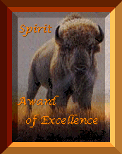 Spirit Award of Excellence