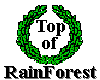 The Best Of RainForest