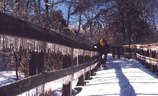 Ice Coated Bridge