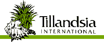 Site Tillandsia