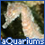 Aquariums