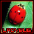 Ladybugs