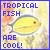 Tropical Fish