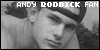 Andy Roddick: Tennis