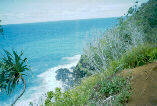 KAUAI'S SEASHORE