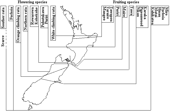 Species distribution map 9 K